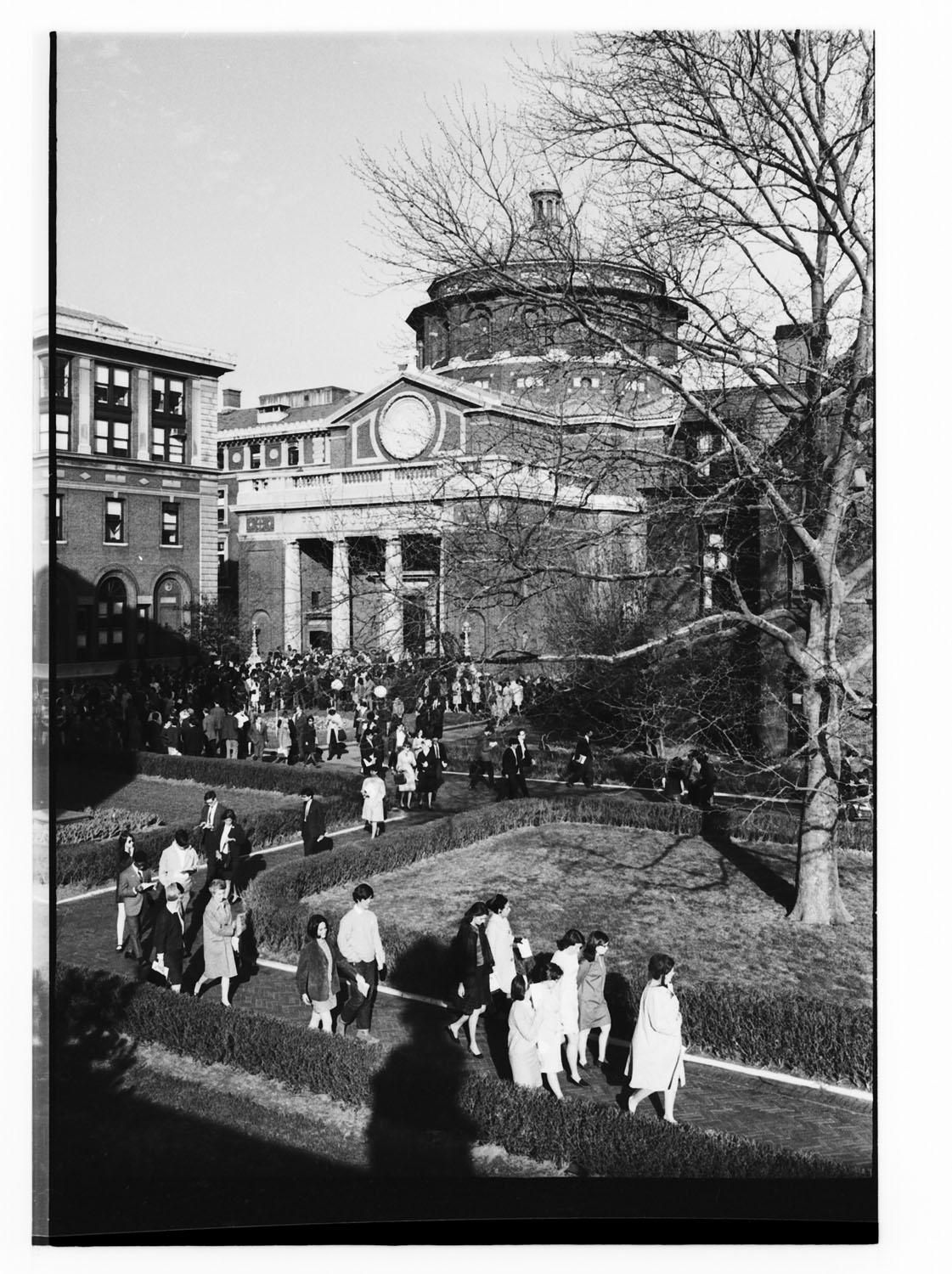Image of Causes: Martin Luther King, Jr. Memorial Service