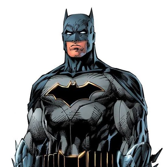 Image of The Bat Story