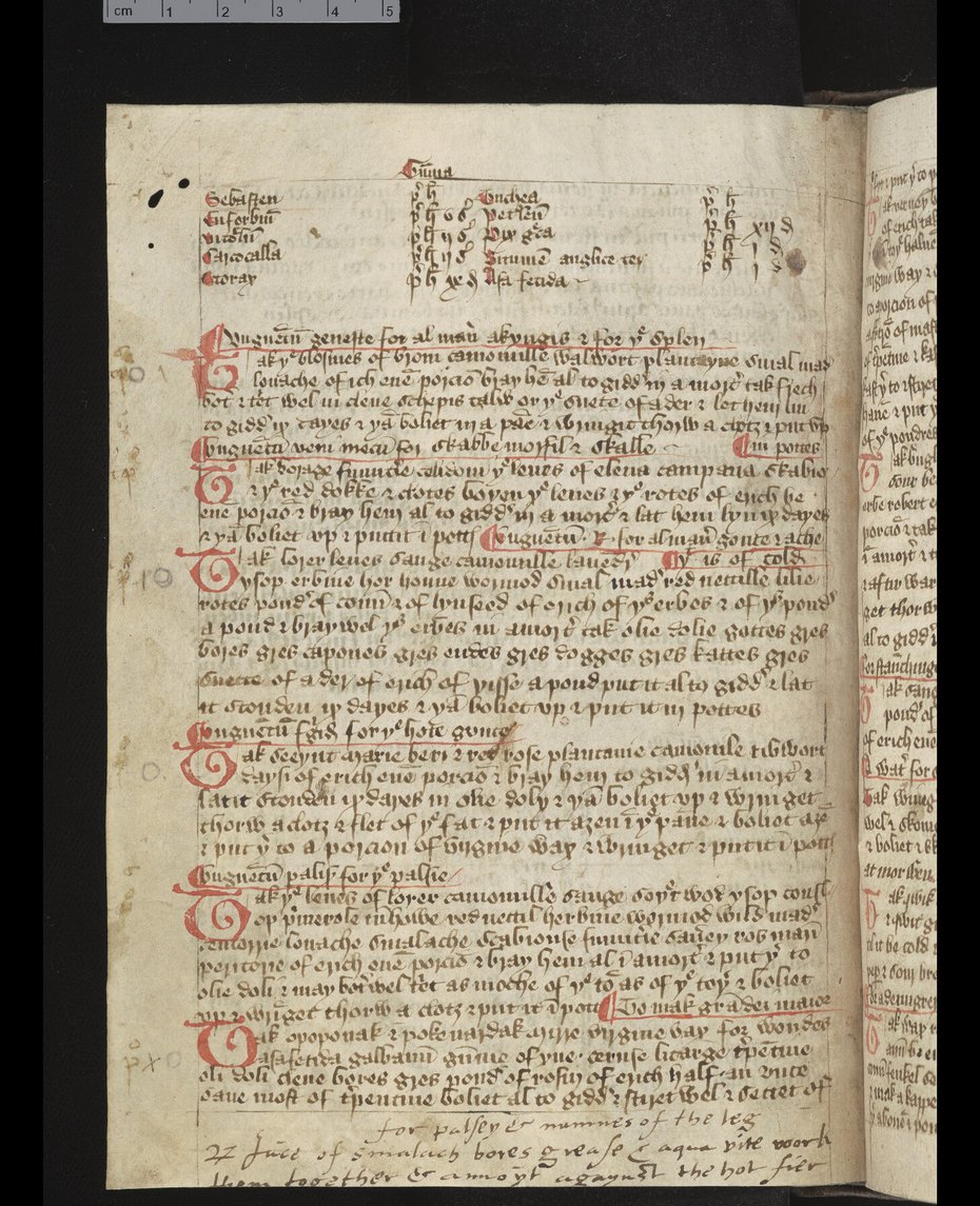 Image of An ointment for skin disease