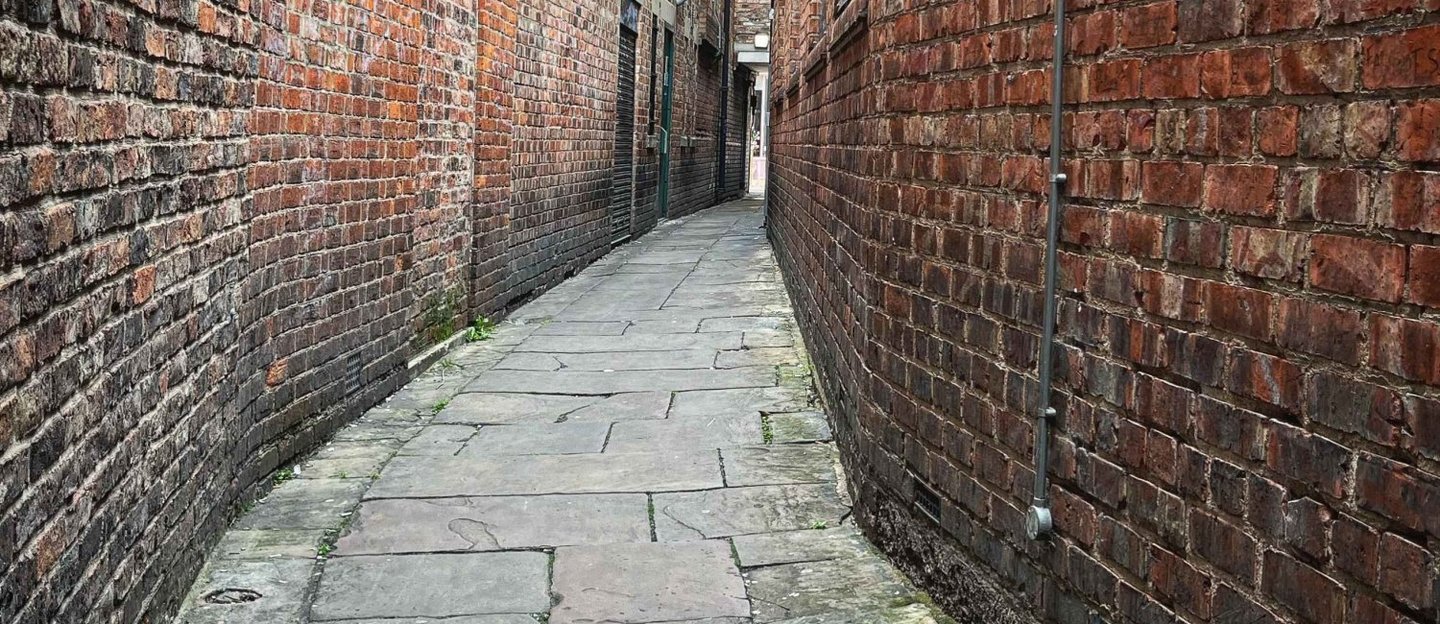 Image of The History of Snickets