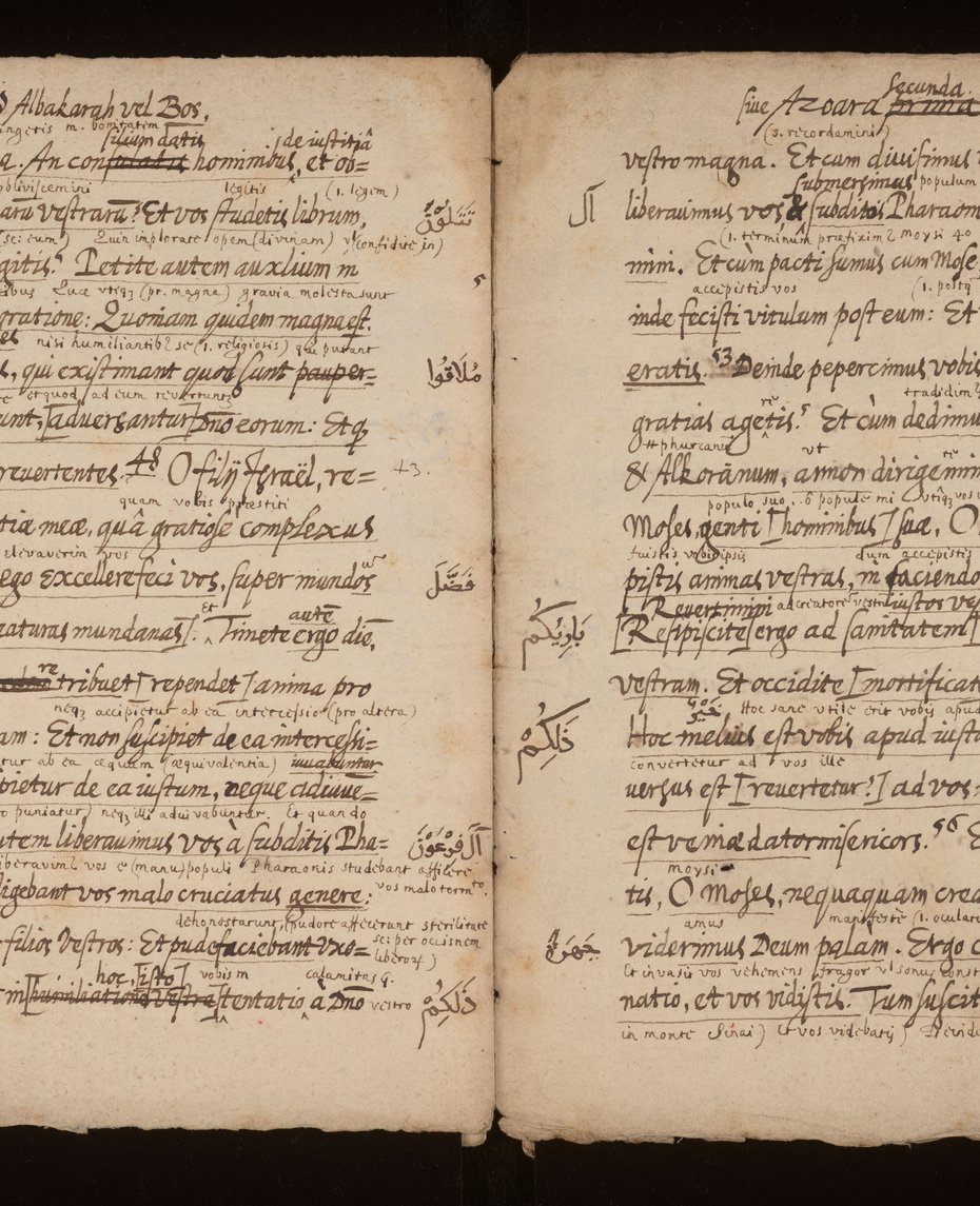 Image of Latin translation and commentary on the Qur’an